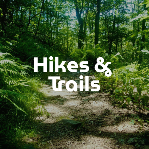 Hikes and Trails
