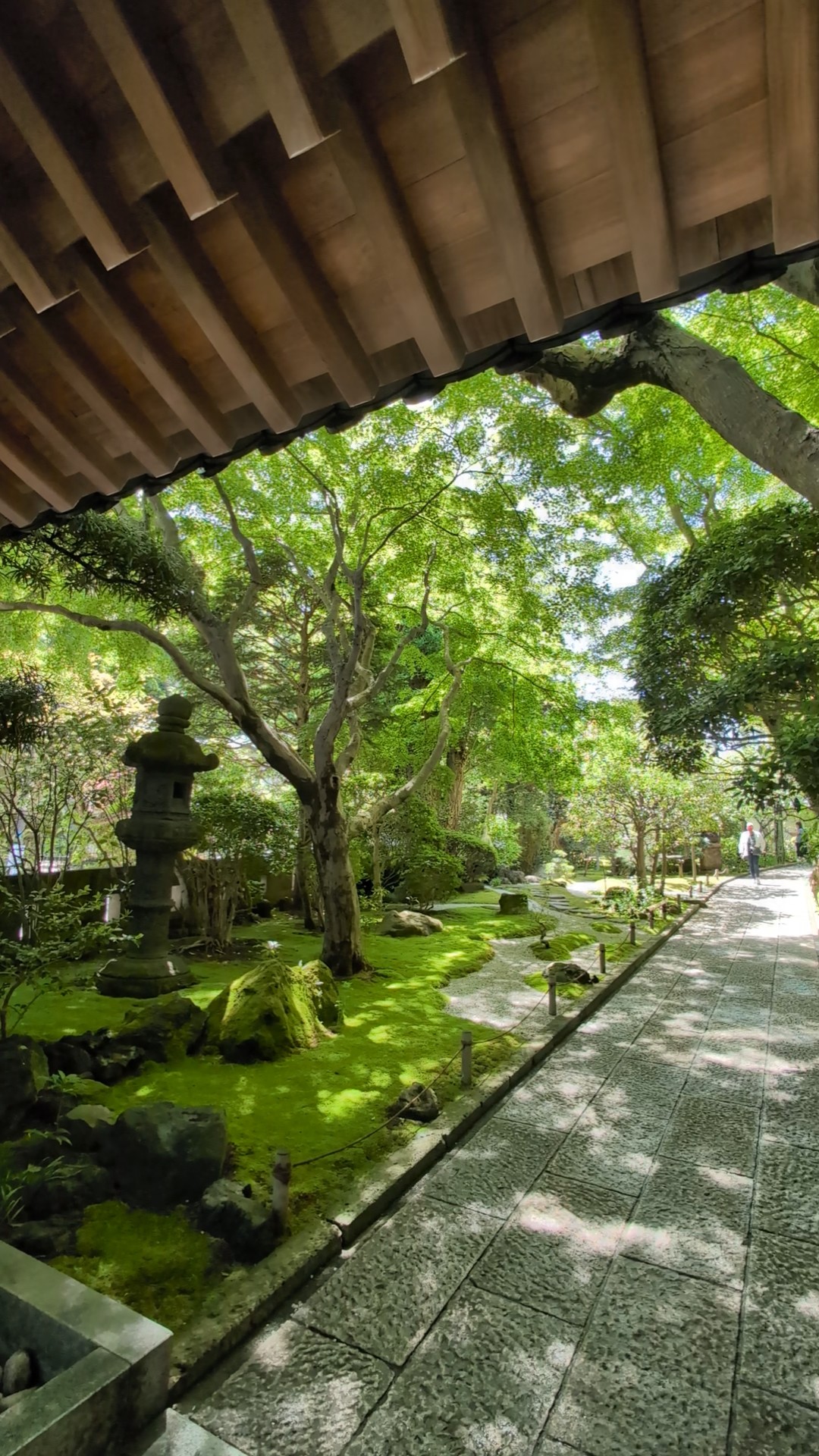 Temple gate eaves with a mossy garden and stone lantern on the left