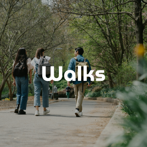 Walks